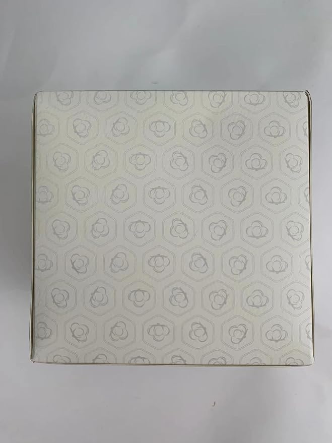 Face Towels,Facial Towels,100 Ct Disposable Face Towel, 9.8"X9.8"Face Cloths, Makeup Remover Face Towelettes Disposable,Disposable Face Cloths for Sensitive Skin,USDA Biobased Clean Face Towel