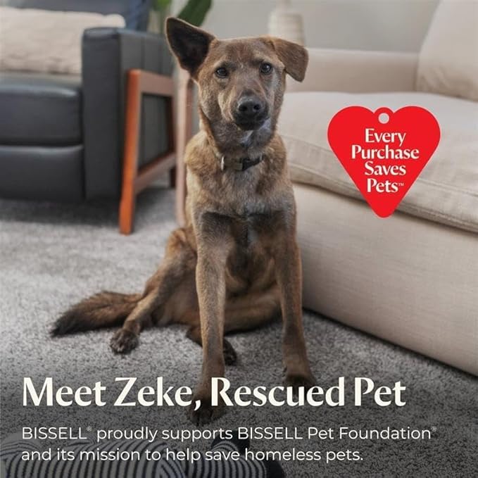 Bissell PowerClean FurFinder 200W Self-Standing Cordless Vacuum w/Tangle Free Brush Roll, Strong Suction, Removeable Battery, Wall Mount, Upholstery Tool & Bright Headlights