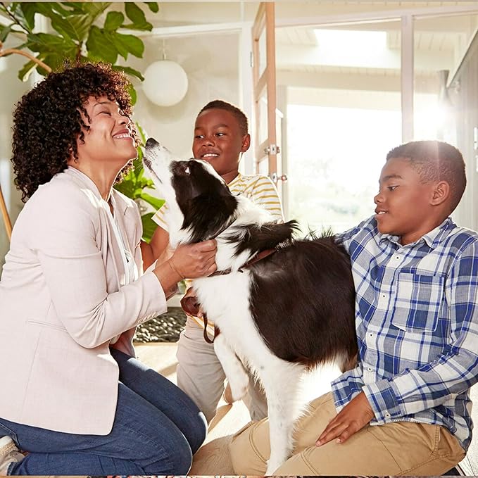 Filtrete 12x24x1 Air Filter, MPR 300, MERV 5, Clean Living Basic Dust 3-Month Pleated 1-Inch Air Filters, 6 Filters