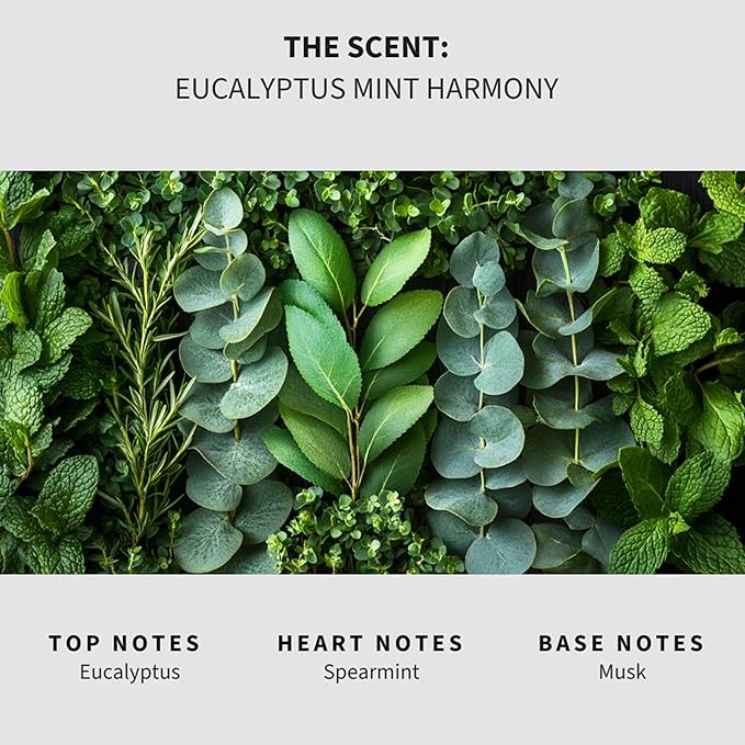 Luxury Floor Cleaner, Scented Mop Soap Concentrate | Hard Floor Cleaner for Tile, Vinyl, Laminate, LVP & Sealed Hardwood | Low-Foam, Streak-Free | 36 oz | Eucalyptus Mint Harmony