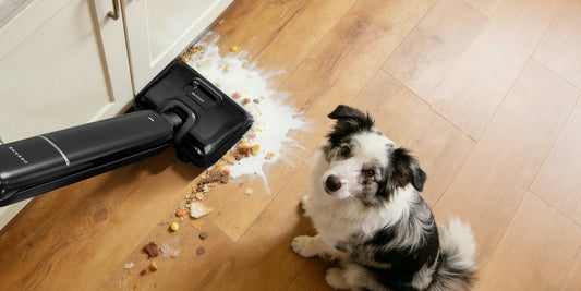 🐾 Paws & Pristine Floors: How to Mix Powerful, Dog-Safe Cleaning Solutions at Home