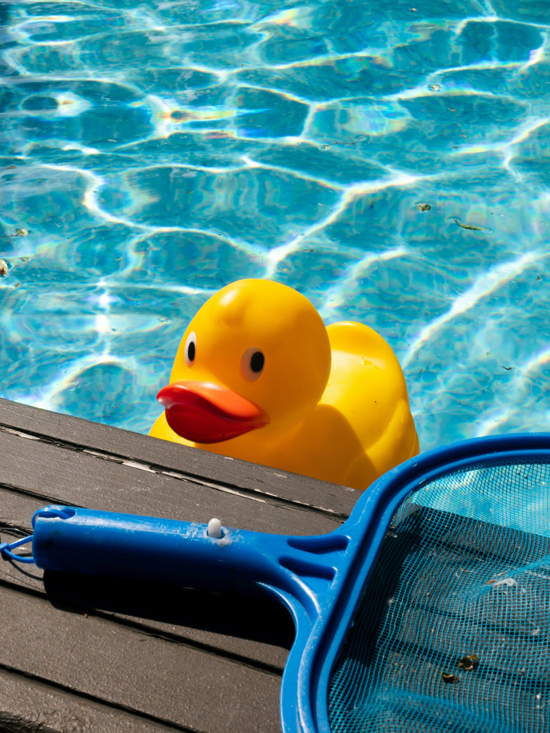 🏊 The Essential Guide to Effortless Pool Maintenance
