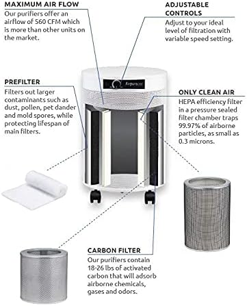 AIRPURA C600DLX AIR PURIFIER HELPS TO ELEMINATE SPECIFIC AIRBORNE PARTICLES INCLUDING VOLATILE ORGANIC COMPOUNDS,IMPROVE AIR QUALITY