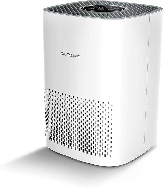 Air Purifier for Home, H13 True HEPA Filter With Activated Carbon Filter, Air Cleaner for Room with Sleep Mode & Night Light, Remove Pets Hair Dust Smoke, White