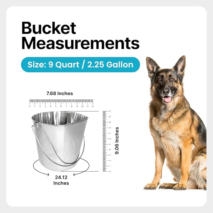 Heavy Duty Stainless Steel Bucket 2 Gallon - 9 Quart Flat Side Metal Bucket for Feeding & Watering Pets, Livestock & Cleaning - Perfect for Crates, Kennels, Cages & Hang on Fences