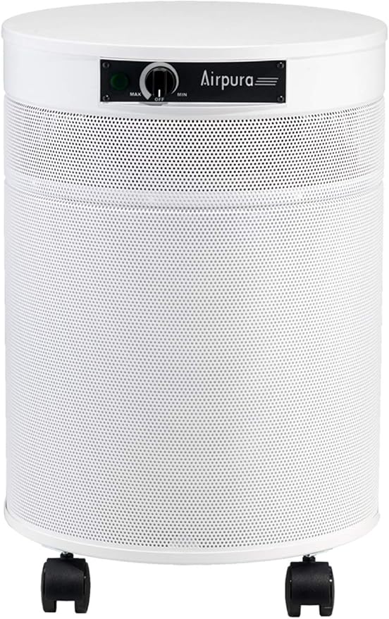 AIRPURA C600DLX AIR PURIFIER HELPS TO ELEMINATE SPECIFIC AIRBORNE PARTICLES INCLUDING VOLATILE ORGANIC COMPOUNDS,IMPROVE AIR QUALITY