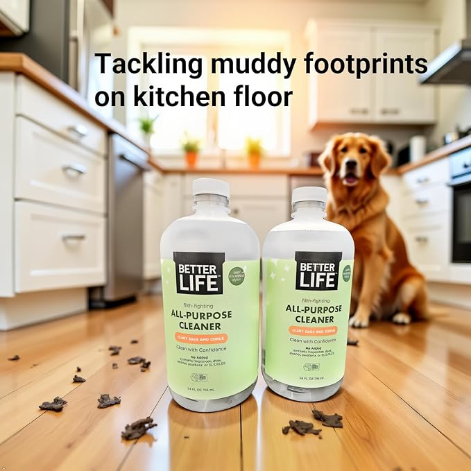 Better Life All Purpose Cleaner - Multipurpose Home and Kitchen Cleaning Spray for Glass, Countertops, Appliances, Upholstery & More - Multi-surface Spray Cleaner - 24oz (Pack of 2) Clary Sage/Citrus