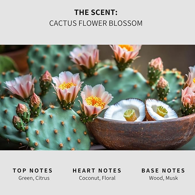 Luxury Floor Cleaner, Scented Mop Soap Concentrate | Hard Floor Cleaner for Tile, Vinyl, Laminate, LVP & Sealed Hardwood | Low-Foam, Streak-Free | 36 oz | Cactus Flower Blossom