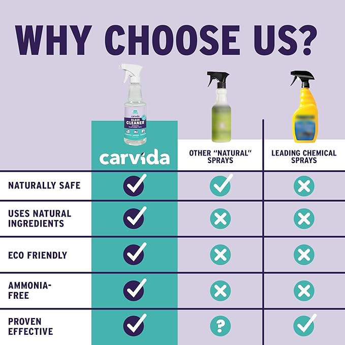 Glass Cleaner, Streak-Free Spray for Automotive Windows and Mirrors, 16oz