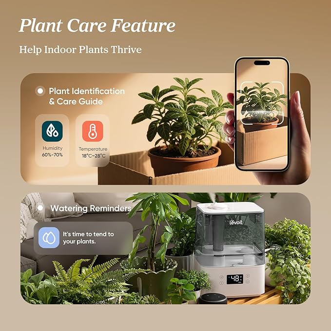 LEVOIT Humidifiers for Bedroom Large Room Home, (6L) Cool Mist Top Fill Essential Oil Diffuser for Baby & Plants, Smart App & Voice Control, Rapid Humidification & Auto Mode - Quiet Sleep Mode, Gray