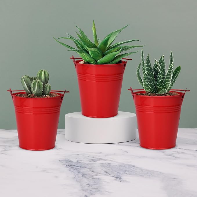 20 Pack 4 Inch Red Mini Metal Bucket, Elegant Galvanized Buckets with Handles, Tin Buckets, Small Iron Bucket, Mini Metal Pail for Party Favors, Crafts, Garden & Beach