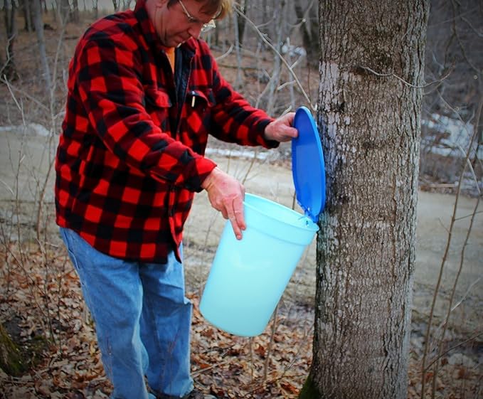 Maple Syrup Tapping Kit - 3 Gallon Plastic Bucket, Bucket Lid, and Maple Sap Tapping 5/16" Tree Saver Spile/Spout (10 Pack)