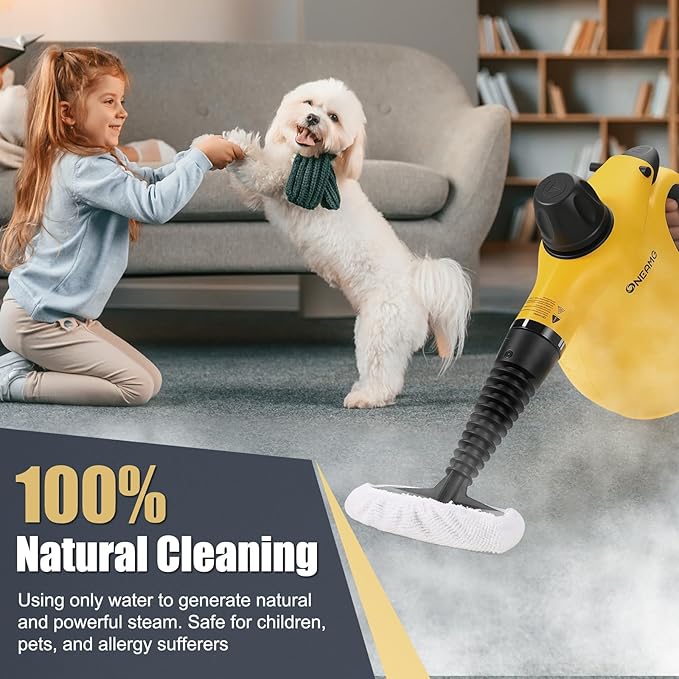 Pressurized Handheld Steam Cleaner for home with Safety Lock, 450ML/15.22OZ Tank & 10 Accessories, Multi-Surface Portable Steam Cleaner for Car,Furniture, Floor, Kitchen-Removes Stubborn Grime