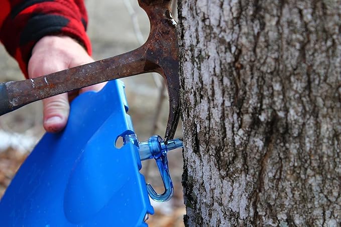 Maple Syrup Tapping Kit - 3 Gallon Plastic Bucket, Bucket Lid, and Maple Sap Tapping 5/16" Tree Saver Spile/Spout (10 Pack)