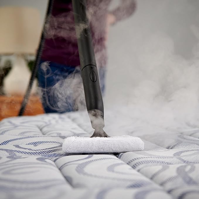 Wagner Spraytech 0282014 915e On-Demand Steam Cleaner & Wallpaper Removal, Multipurpose Power Steamer, 18 Attachments Included (Some Pieces Included in Storage Compartment) For Floor