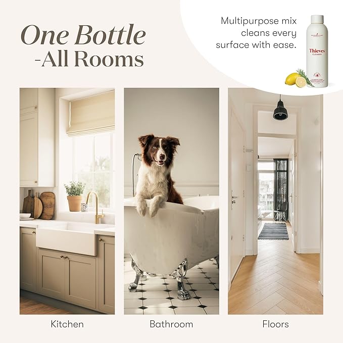 Thieves Household Cleaner | 14.4 oz | Plant-Based Multi-Surface Solution Infused with Essential Oils | Dilute for Floors, Carpets, Glass, Counters, Appliances, and General Home Cleaning