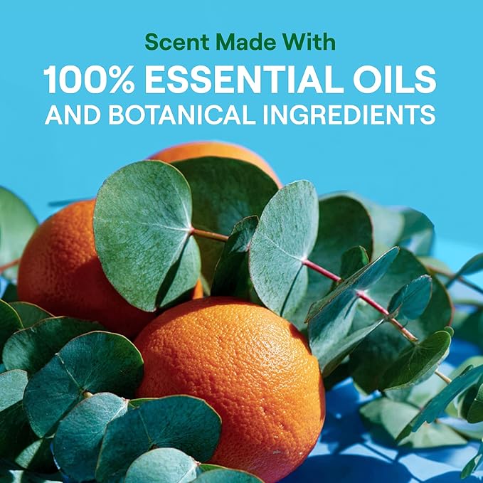 Seventh Generation Laundry Detergent, 40 oz (53 loads), Fresh Scent, Fights Stains & Odor, Concentrated Formula, Scent Made From 100% Essential Oils & Botanical Ingredients