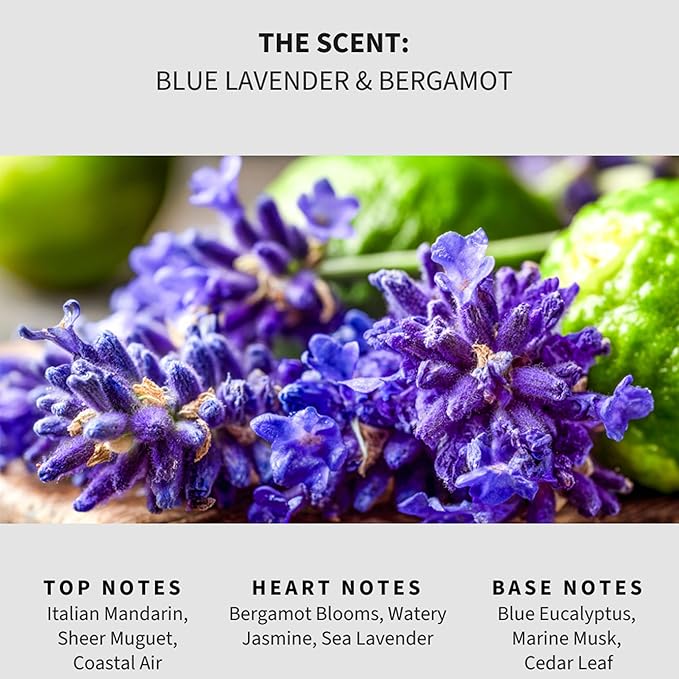 Luxury Floor Cleaner, Scented Mop Soap Concentrate | Hard Floor Cleaner for Tile, Vinyl, Laminate, LVP & Sealed Hardwood | Low-Foam, Streak-Free | 36 oz | Blue Lavender & Bergamot