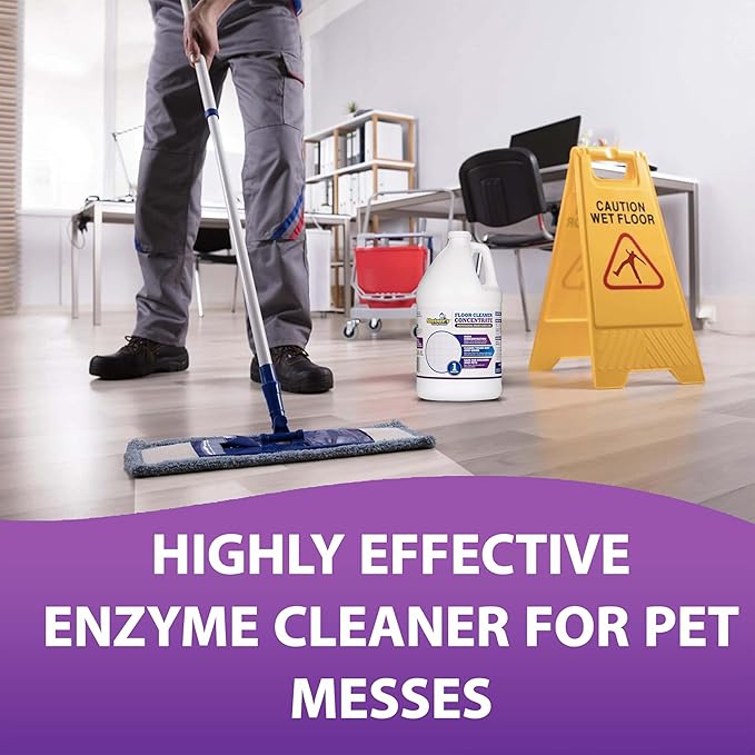 Sheiner's Multipurpose Cleaner Concentrate, No-Rinse Floor Cleaner for Mopping & Floor Degreaser for Home, Safe for Kids & Pets, Non-Toxic Lavender Scent All Purpose Cleaner Supplies,1-Gallon.