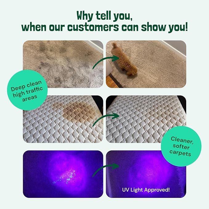 Sunny & Honey Carpet Cleaner Solution - Carpet Shampoo & Pet Stain Remover for Upholstery & Rugs - Works With Steam Cleaners (128 fl oz, Spring Mint Scent)