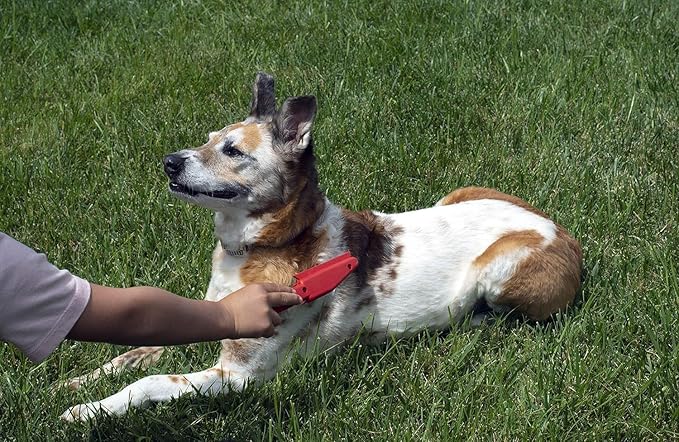 FURemover Original Pet Hair Rubber Broom with Squeegee, with 58” Telescopic Handle for Carpet, Tile and Hardwood and Handheld Lint Brush Combo