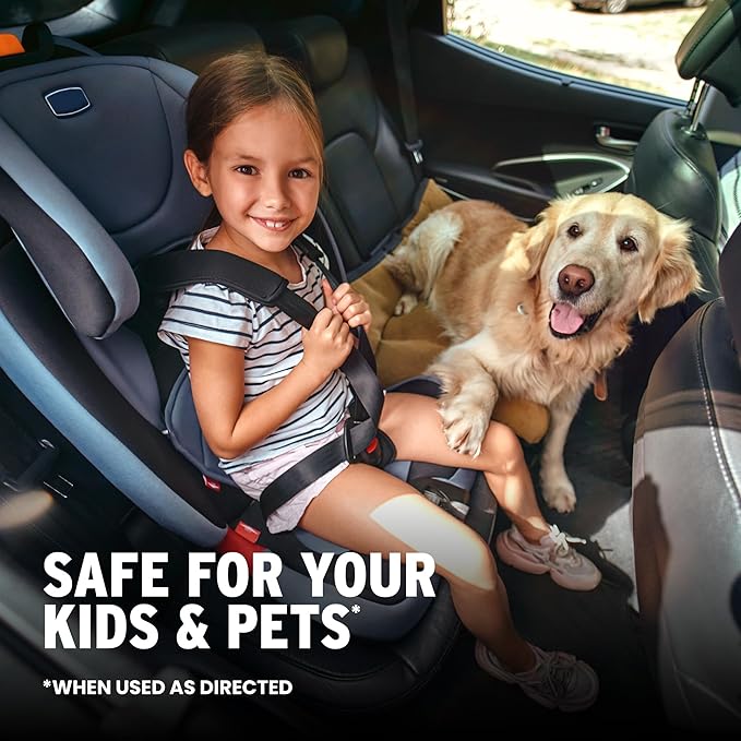 Glass Cleaner, Streak-Free Spray for Automotive Windows and Mirrors, 16oz