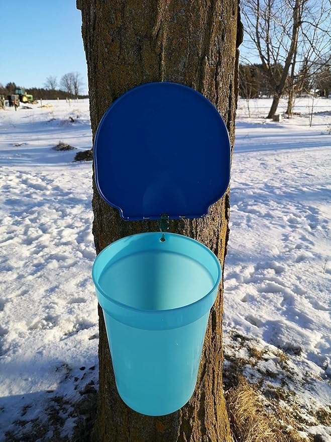Maple Syrup Tapping Kit - 3 Gallon Plastic Bucket, Bucket Lid, and Maple Sap Tapping 5/16" Tree Saver Spile/Spout (10 Pack)