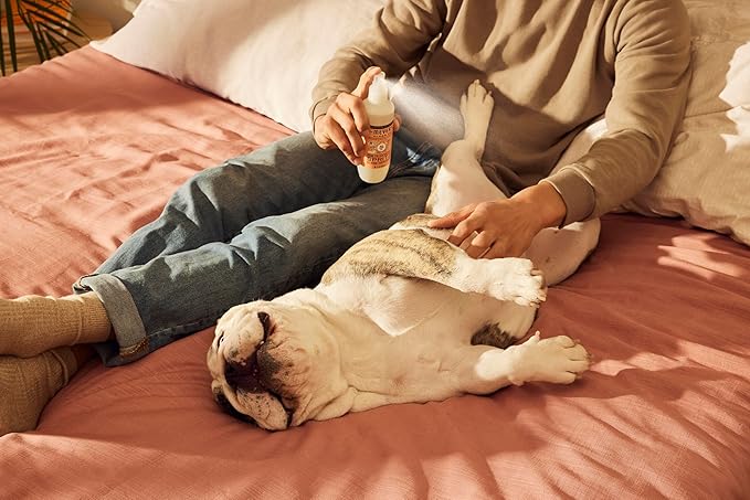 MRS. MEYER'S Clean Day Dog Deodorizing Spray, White Peach Scent, 8oz