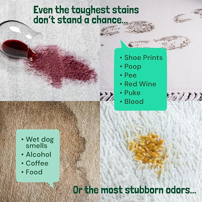 Sunny & Honey Carpet Cleaner Solution - Carpet Shampoo & Pet Stain Remover for Upholstery & Rugs - Works With Steam Cleaners (128 fl oz, Spring Mint Scent)