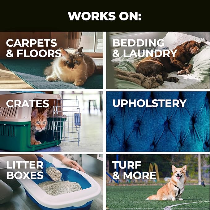 Simple Green Pet Stain and Odor Eliminator 32 oz Spray & 1 Gal Refill